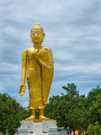 ณ วัดไผ่โรงวัว 