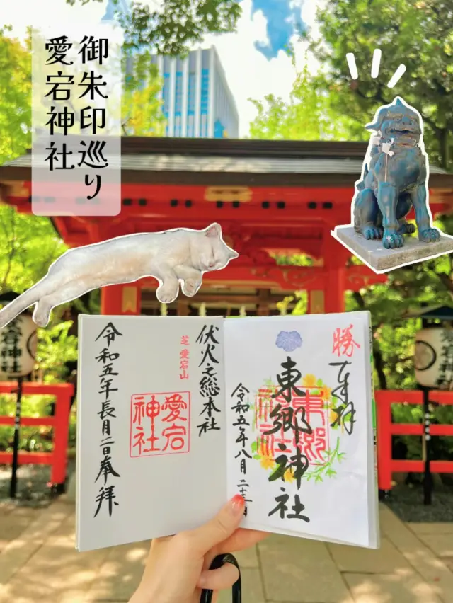 【東京】出世神社の最高峰✨猫に会えたらラッキー🍀金運アップな愛宕神社⛩