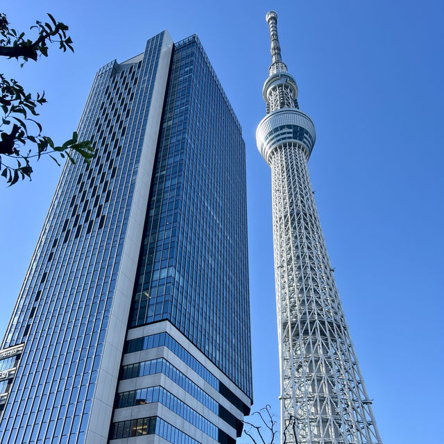 東京的新地標👉晴空塔
