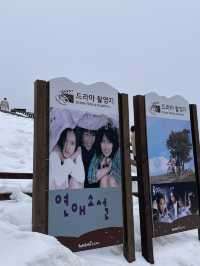 이곳이..겨울왕국?!⛄️ 눈이 가득쌓인 ‘삼양목장‘