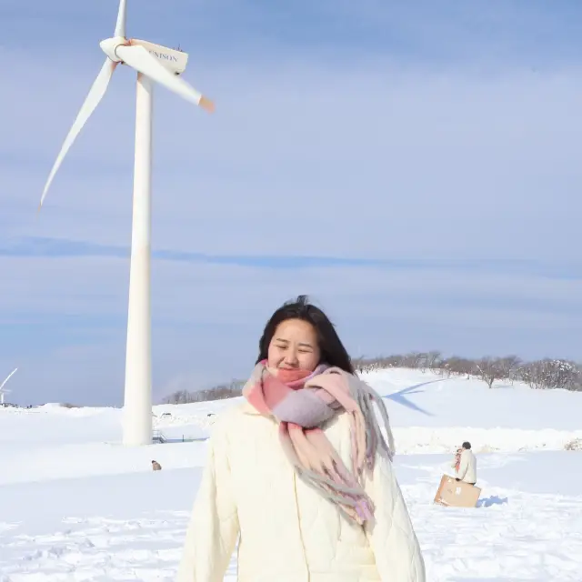 삿포로 느낌 가득한 강원도 삼양 라운드힐 ❄️