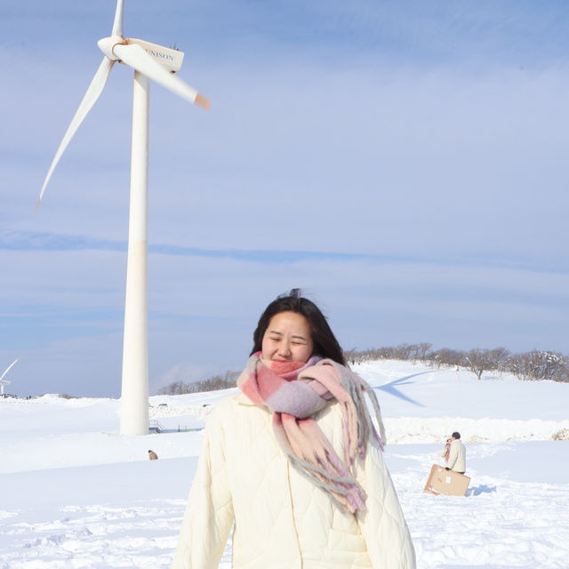 삿포로 느낌 가득한 강원도 삼양 라운드힐 ❄️