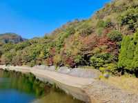 Fall in Nunobiki Park