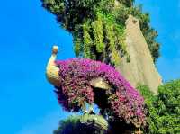 Dubai Miracle Garden