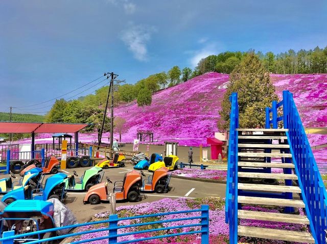Higashimokoto Shibazakura Park 