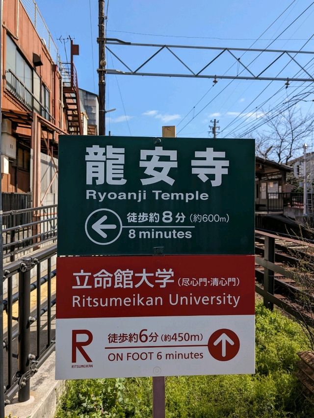 龍安寺の境内の鏡容池(おしどり池)の、水分石(みくまり石)の上には、２羽の鳥が仲良く並んでいた