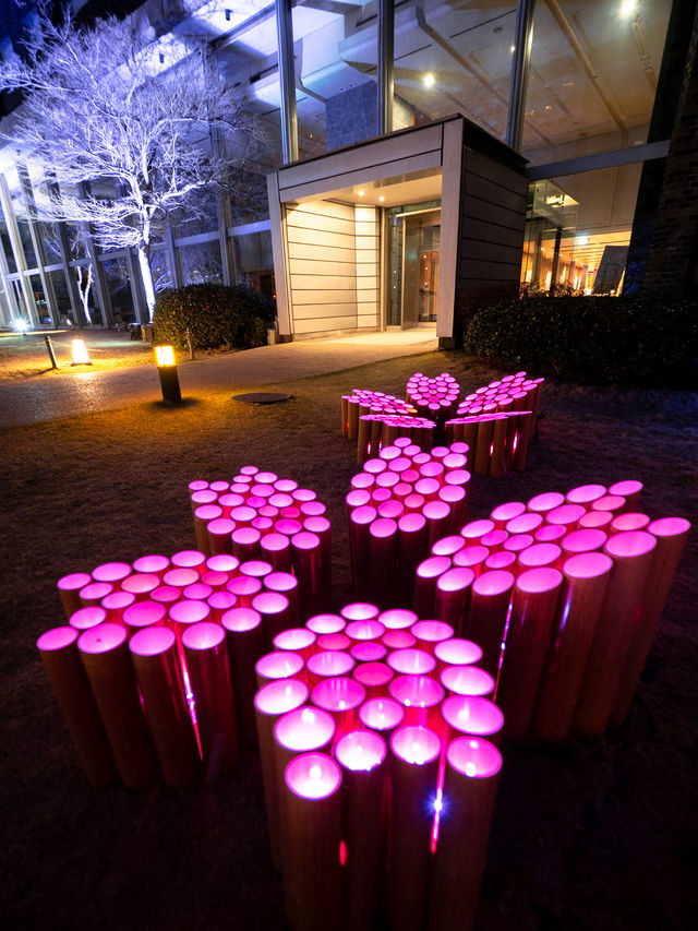 【春の竹あかりイベント！🎋】竹あかりで作られた桜の花びらが可愛すぎる！🌸✨