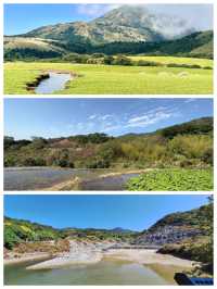 【臺北景點】陽明山國家公園：花季賞花，適合春季遠足休閒