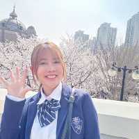 🌸Everland สวนสนุก🎡 ที่มีซากุระ🌸