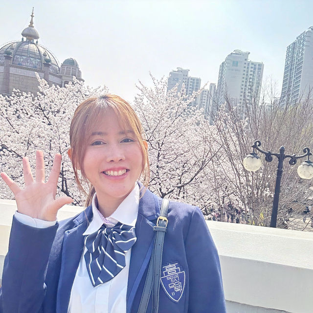 🌸Everland สวนสนุก🎡 ที่มีซากุระ🌸