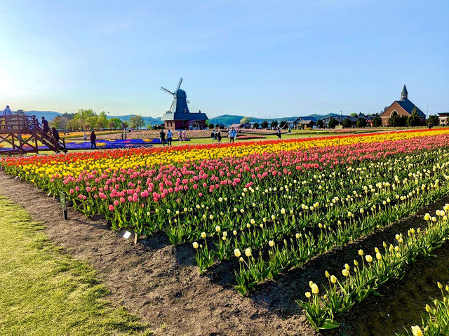 Kamiyubetsu Tulip Park