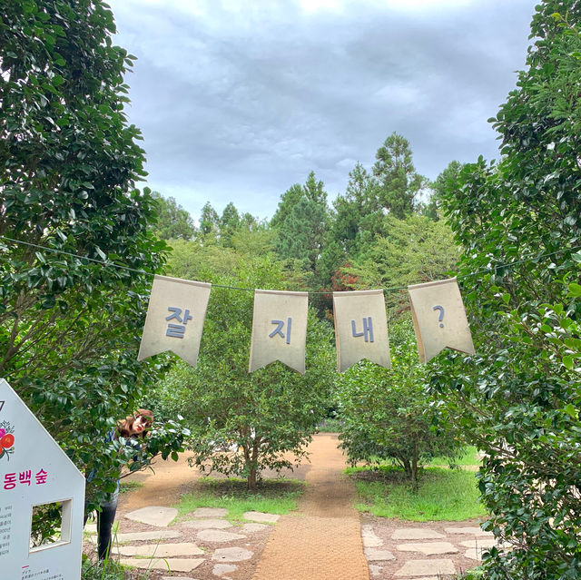 제주여행 필수코스 카멜리아 힐 🌳