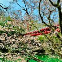 桜淵公園