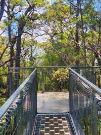 Valley of the Giants Tree Top Walk