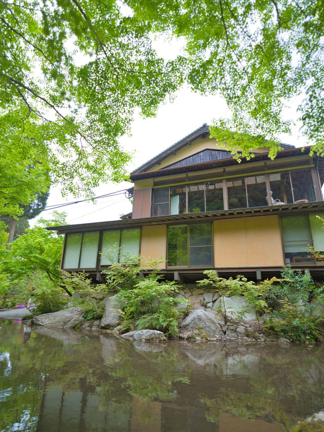 【佐賀県】ご夫婦が40年かけて作った庭園のリフレクションが美しいスポットを紹介🔍