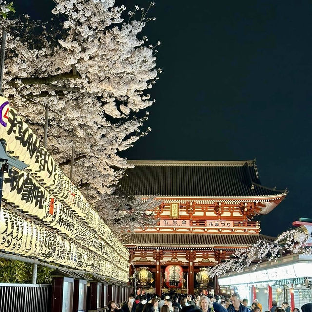 💫 Tokyo’s most Vibrant District: Asakusa! 🇯🇵