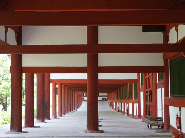 【奈良公園】鹿迎新春，適合春天遊覽