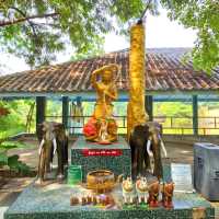  Pa Thamma Utthayan Temple( Luang Pho Kluay)