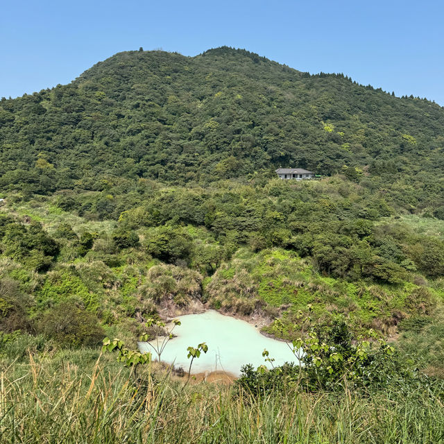 台北陽明山晴天一日遊🌱