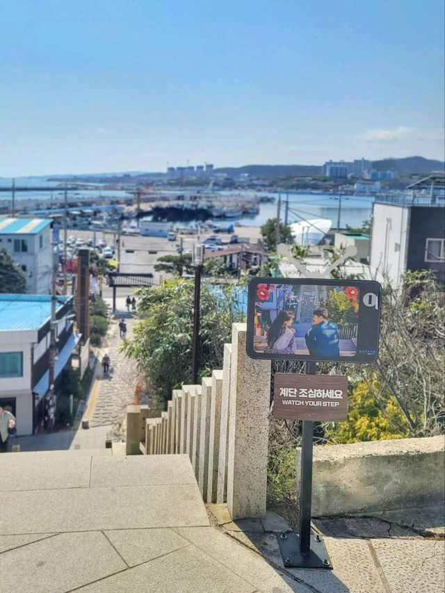 동백꽃필무렵 그 계단 포토존이 여기🌺