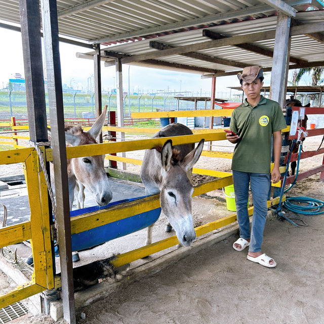 Delightful Animal Adventure at Desaru Mini Zoo 