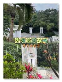 🌟🌿 奧林匹克廣場：自然與活動體驗 🏞🌺