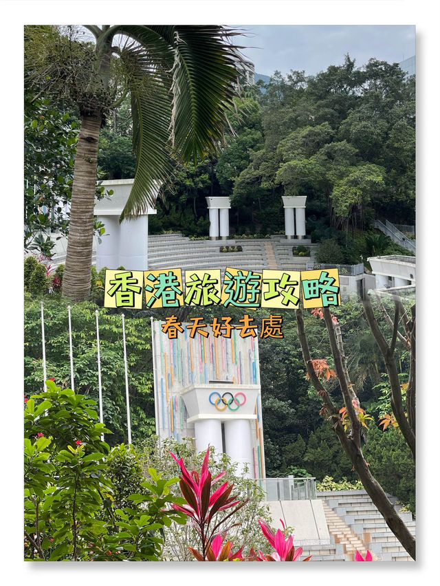 🌟🌿 奧林匹克廣場：自然與活動體驗 🏞🌺