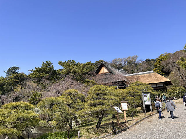 三渓園@横浜🌲