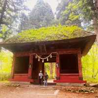 【長野県/ 木漏れ日が美しく差し込んだ幻想的な随神門 ✨】