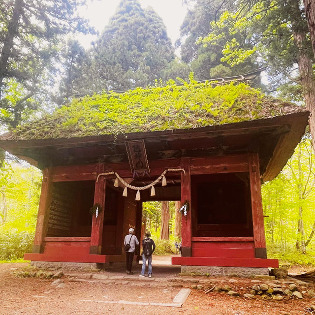 【長野県/ 木漏れ日が美しく差し込んだ幻想的な随神門 ✨】
