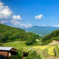 Akamine露營區🏕️探索綠林