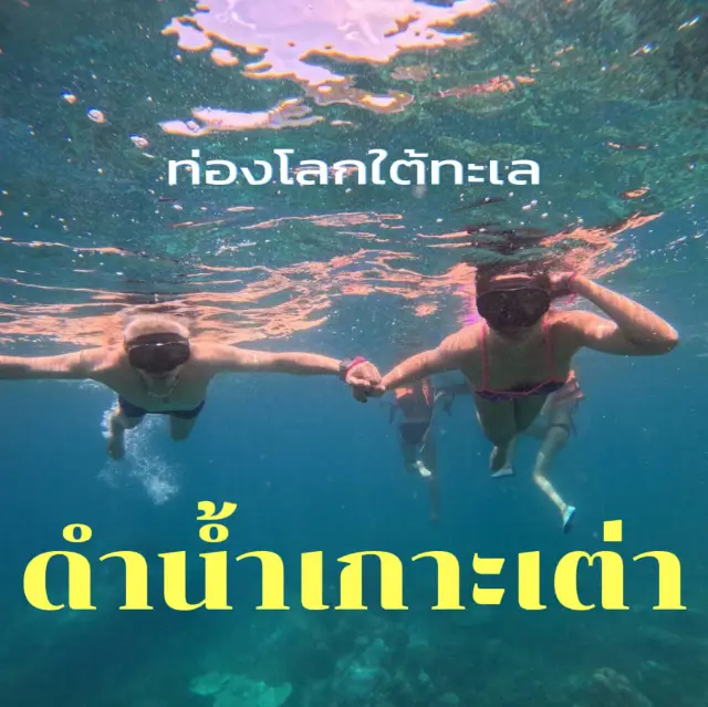 探索海底世界，潛水濤島