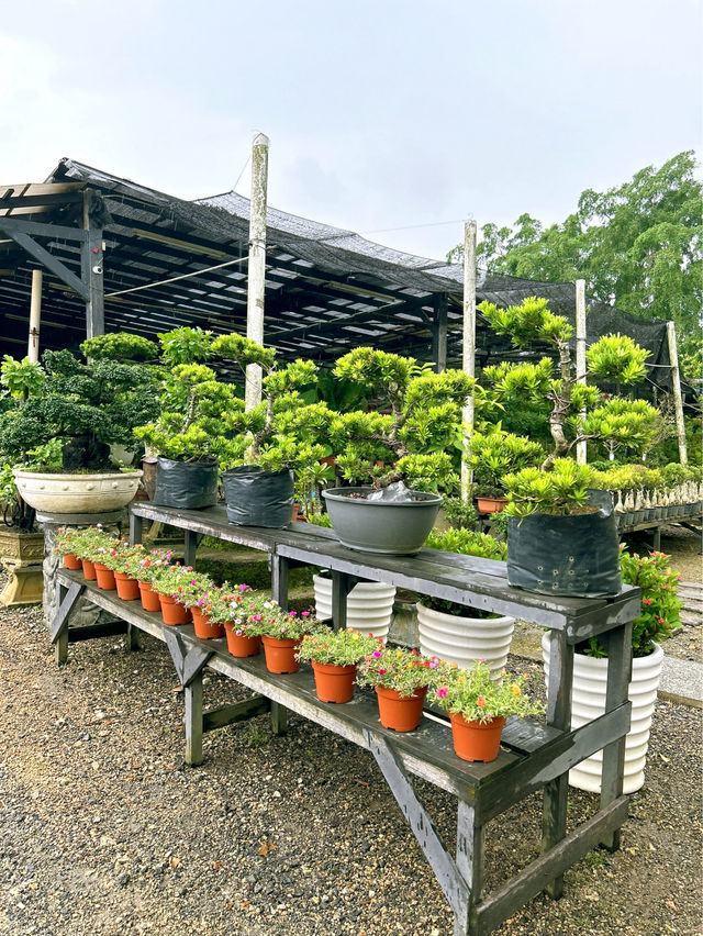 Why Choose AGRO Nursery?