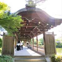 夏旅は京都へ行こう💠平安神宮東神苑で日本建築美を体感