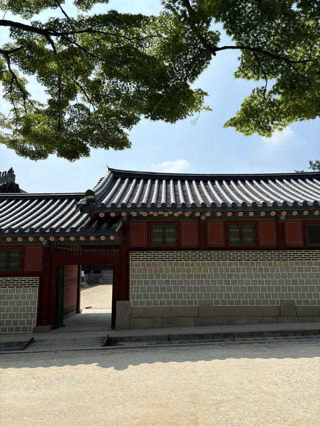 서울의 고즈넉한 관광 필수 여행에서 힐링하기🖤