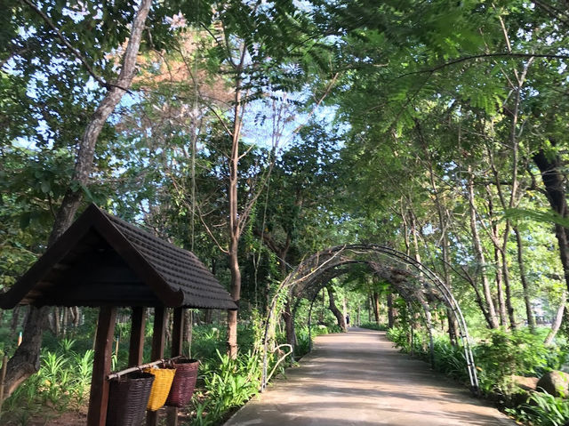 Khone Phapheng Waterfall