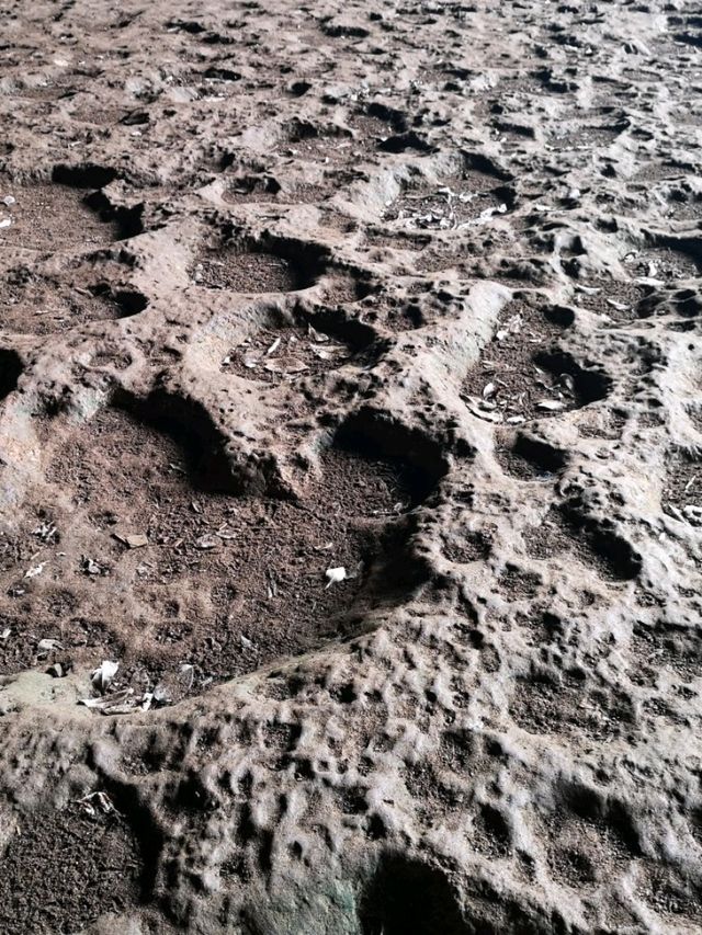 Niah National Park