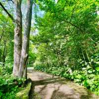 Nature's Haven in Asahikawa