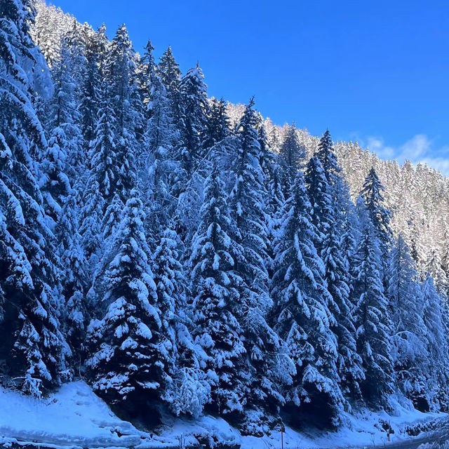 佐幌滑雪場：冬日度假首選