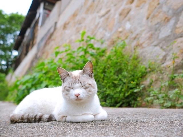 【尾道】（広島県尾道市　旧国名：備後）