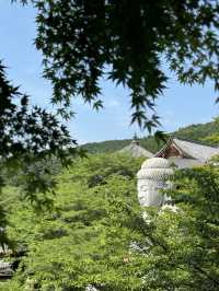 【奈良】桜の名所は新緑も美しい