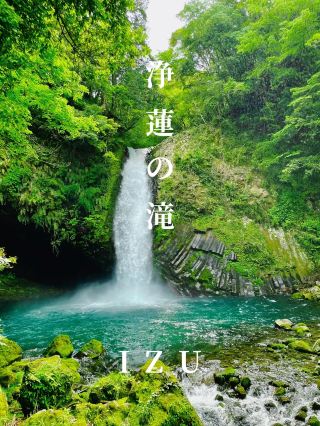 【絕景】天城越え的舞台！也被選入日本瀑布百選的伊豆能量景點！