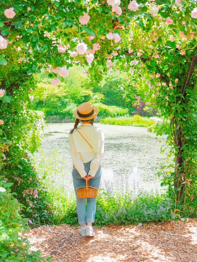 【長野・軽井沢】パスポートのいらないイギリスへ🇬🇧🫖🐻🌹