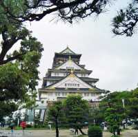Delve into the wonders of Japan’s ancient history