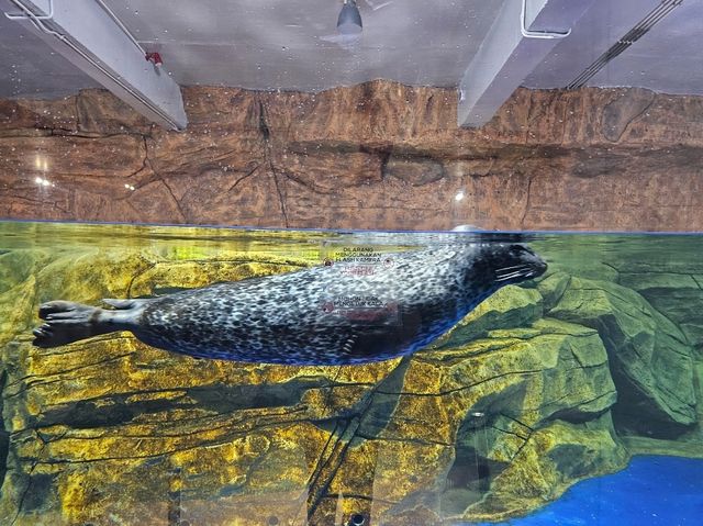 雅加達大型Mall內水族館