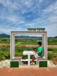 경비행기를 볼수있는 함안 악양둑방길