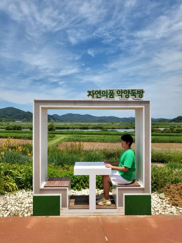 경비행기를 볼수있는 함안 악양둑방길