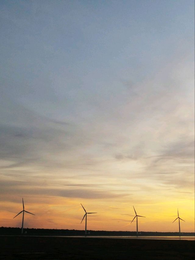 夕陽無限好只是近黃昏“高美濕地”