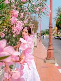 เที่ยวชมความงาม ไหว้พระขอพร ณ เมืองน่าน