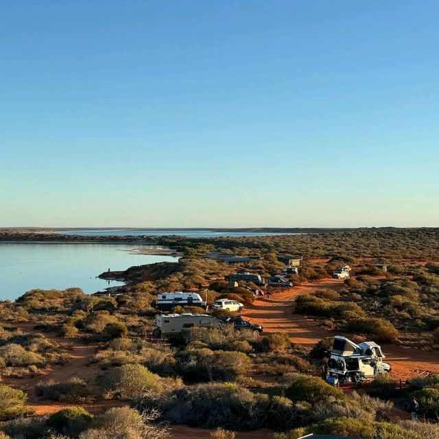 Wonders of Shark Bay World Heritage Area 🇦🇺🦈